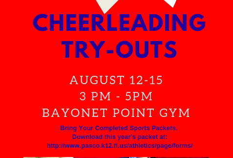 Cheerleader Tryouts