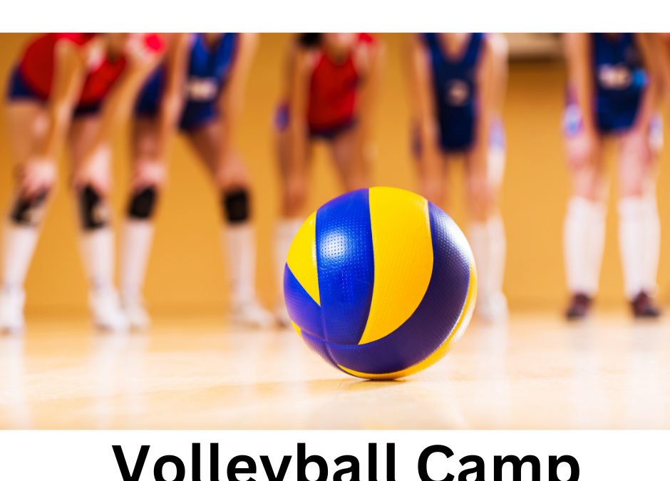 Fivay Volleyball  Skills Camp